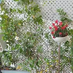 Apartament River View - Lapa District - Your In Lisbon! Lizbona