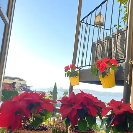 River View - Lapa District - Your In Lisbon! ליסבון