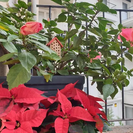 River View - Lapa District - Your In Lisbon! Lissabon