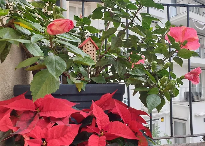 River View - Lapa District - Your In Lisbon! Lissabon